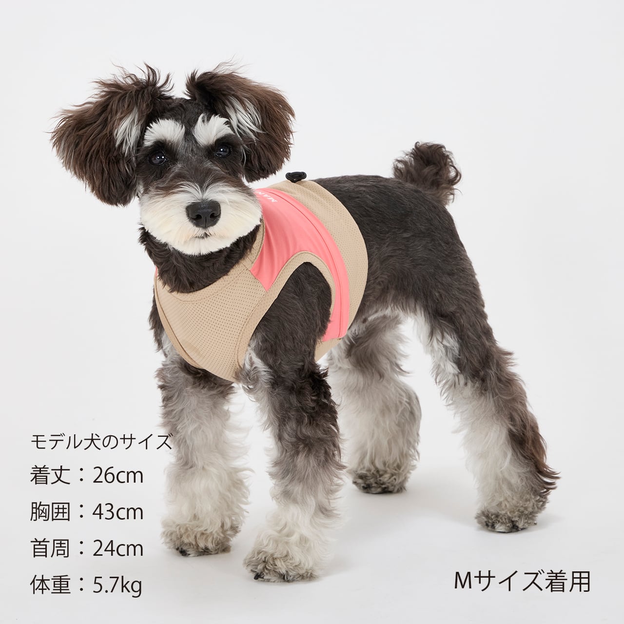 COOLING VEST（S.M.L） クーリングベスト | MANDARINE BROTHERS