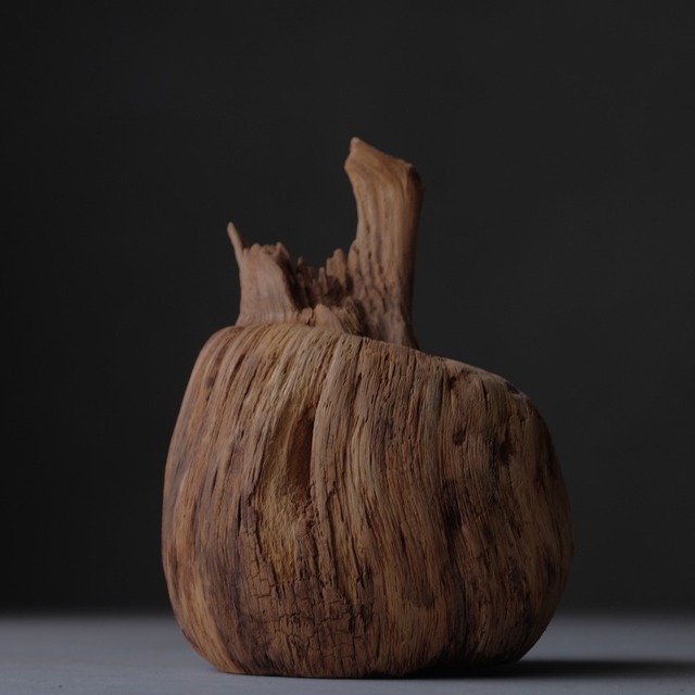 Tree burl