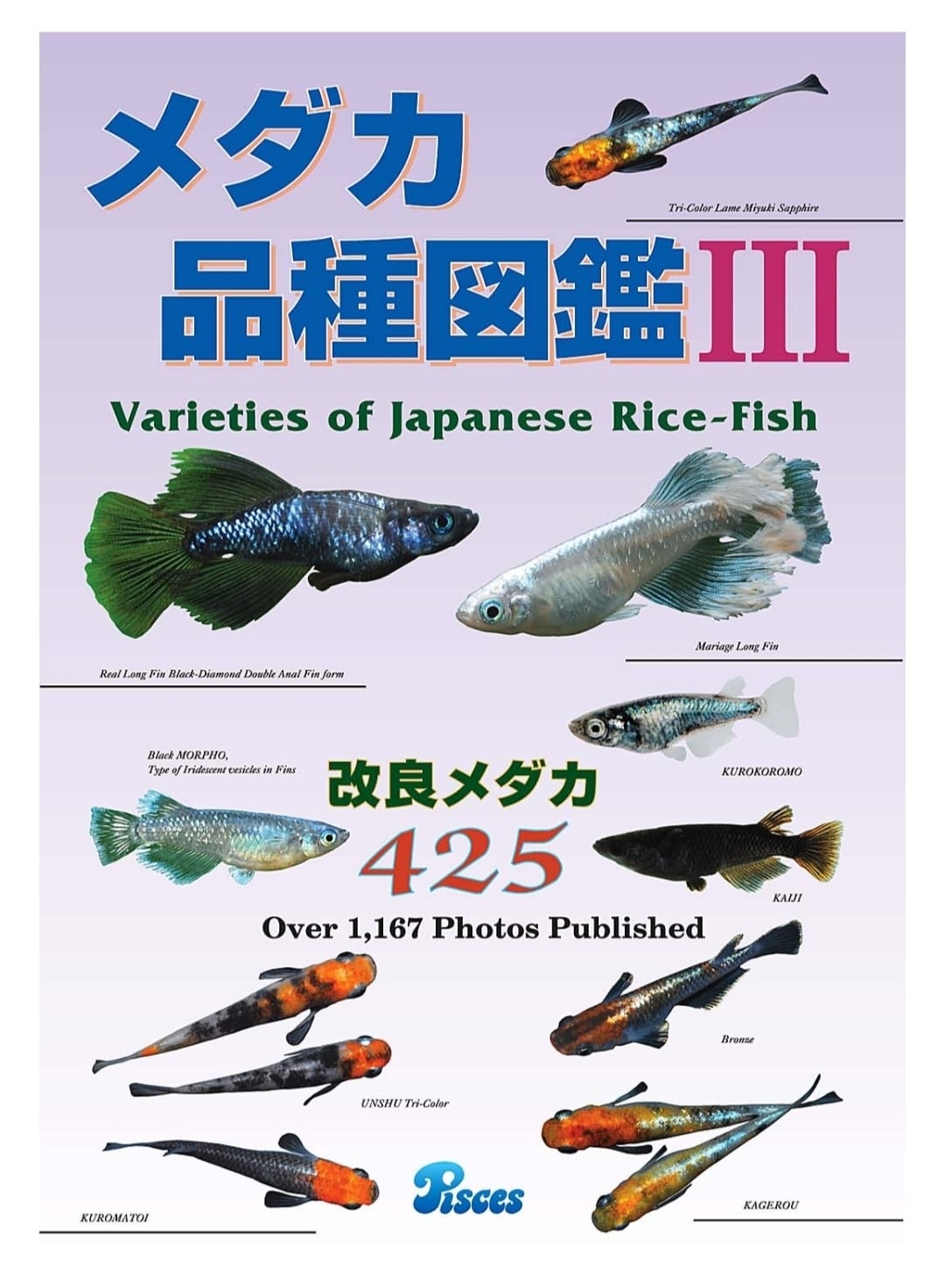 たも網 ステルスタイプ メダカ選別網 タモ 丸型 メダカ用タモ網吉田