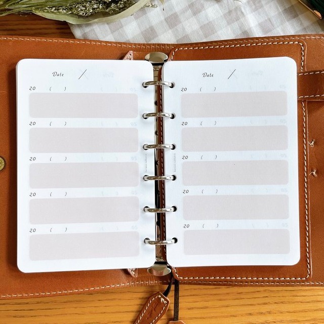 ミニ6穴サイズ/5年日記リフィル