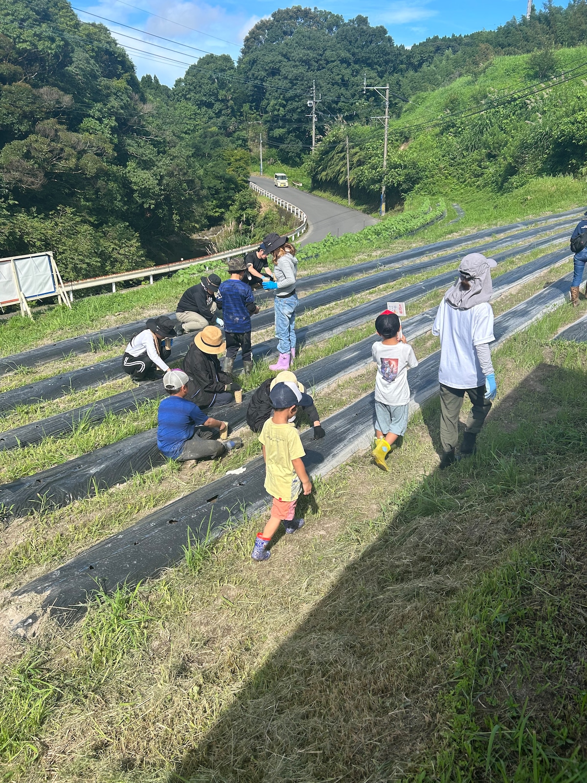 休耕地を活用した地域活性化の取組を応援します券 | キリシマギルド