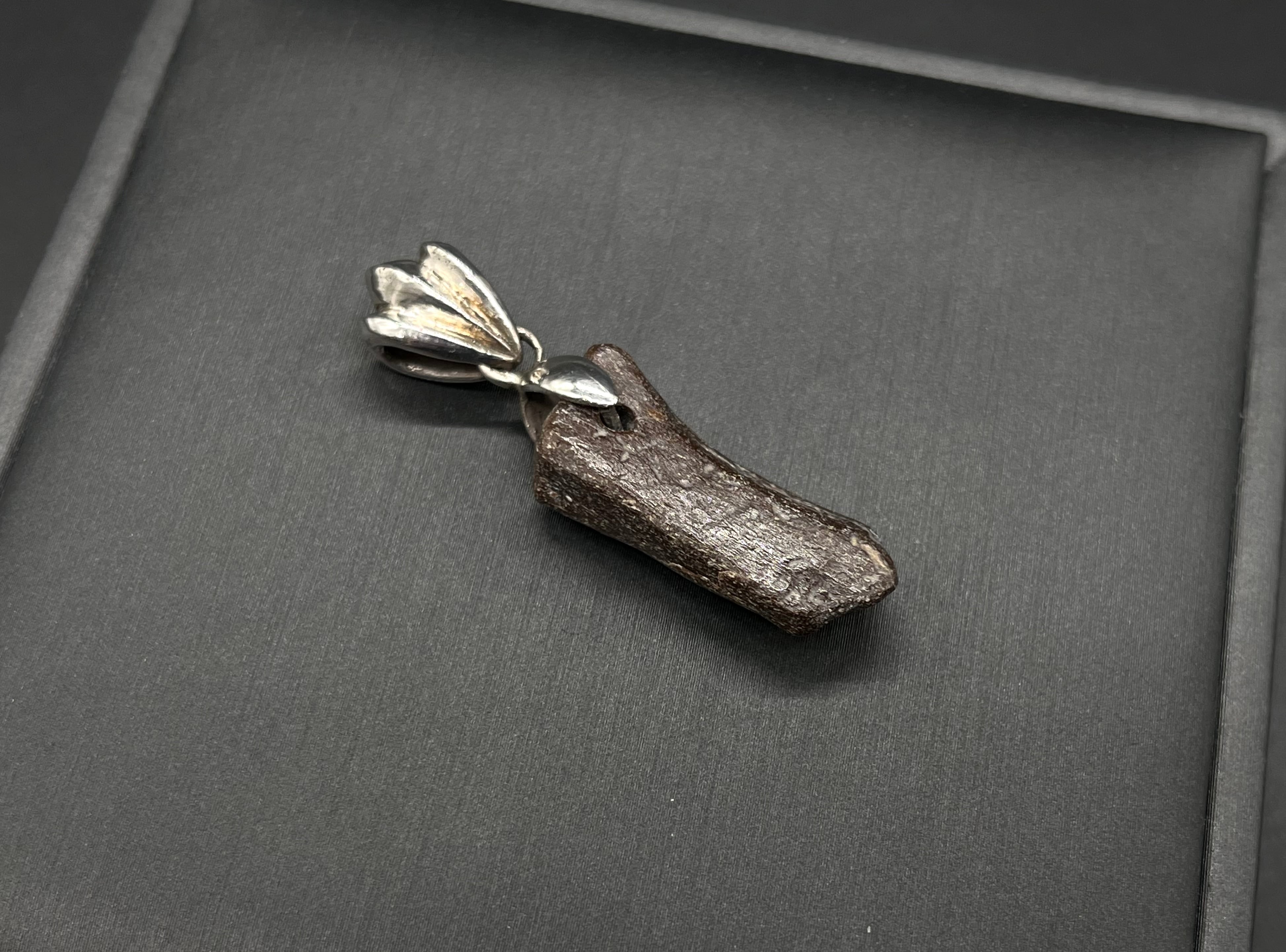 化石/ティラノサウルス/ネックレス/ペンダントトップ/silver925 化石/ティラノサウルス/ネックレス/ペンダントトップ/silver925