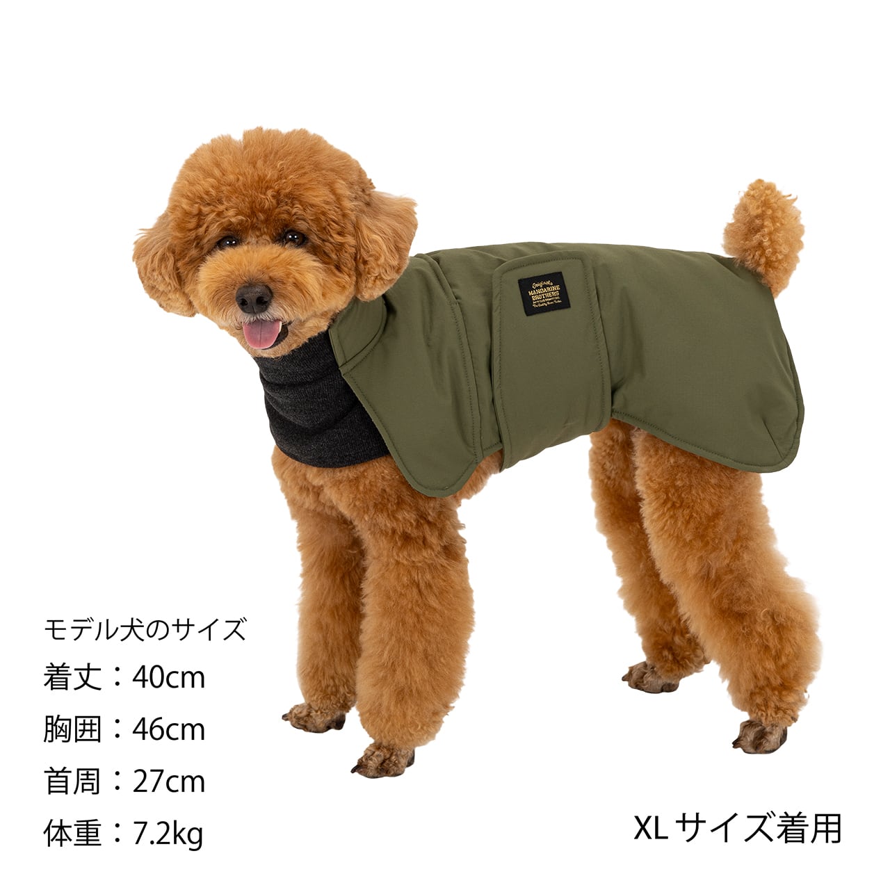RAP JACKET（M.MD.L） ラップジャケット | MANDARINE BROTHERS