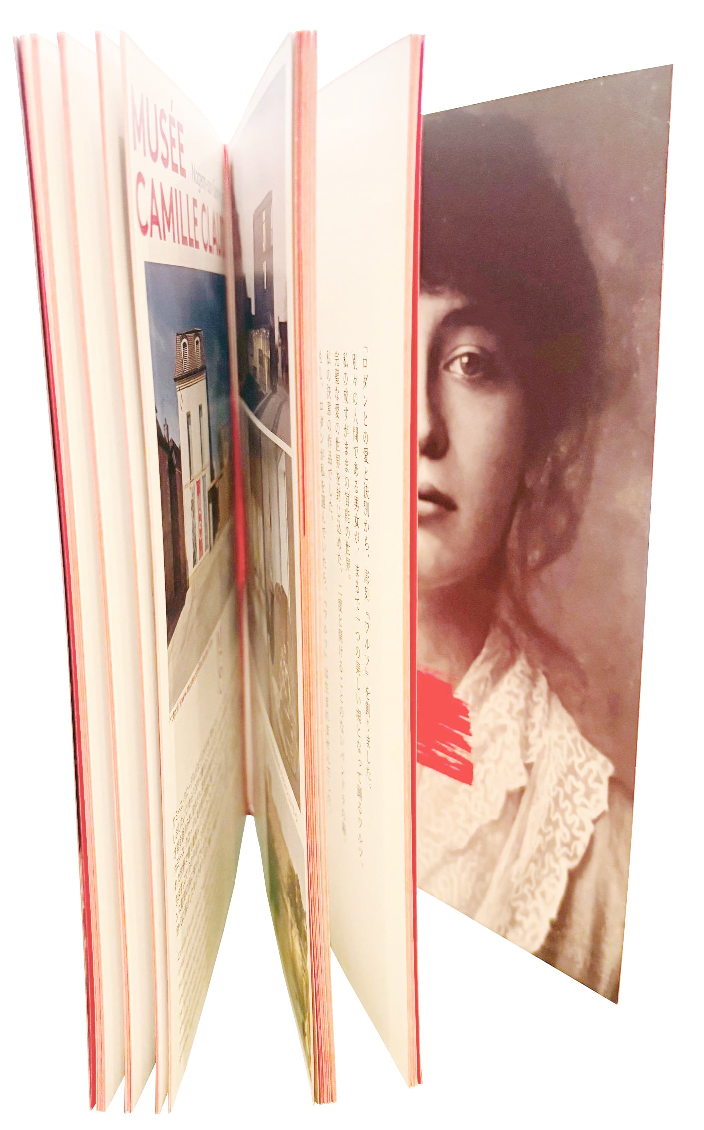 書籍 「カミーユのワルツ——精神病院での30年」 宮本尚子 著 | shop