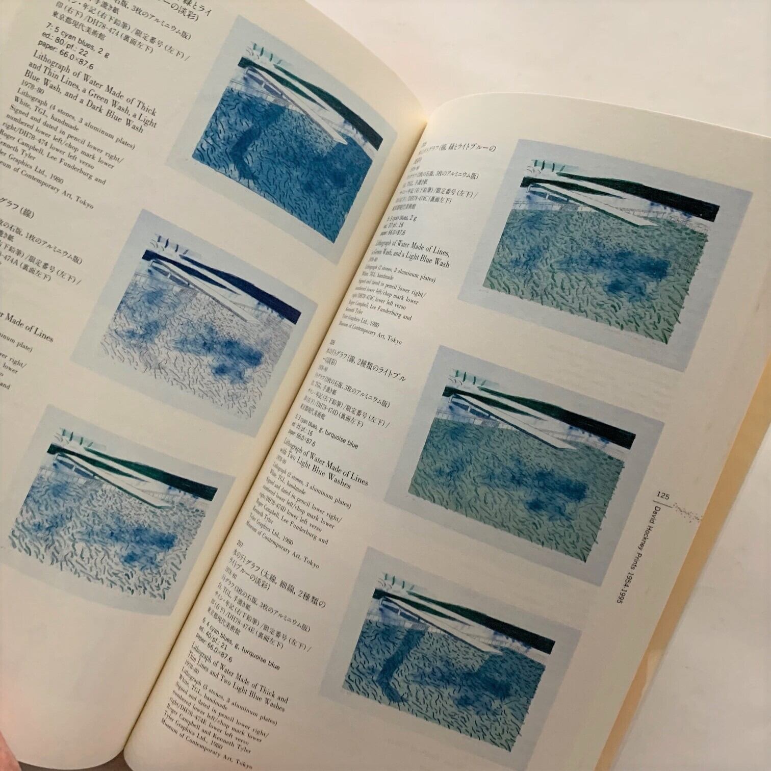 デイヴィッド・ホックニー版画 1954‐1995 東京都現代美術館