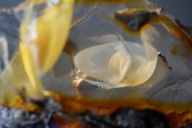 エッグ・イン・オパール Opal Egg 827