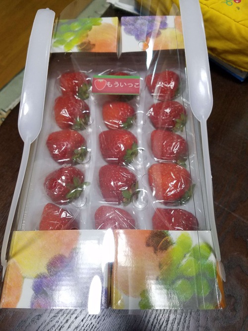 兵庫県産　高糖度イチゴ　多品種あります。　贈答用　