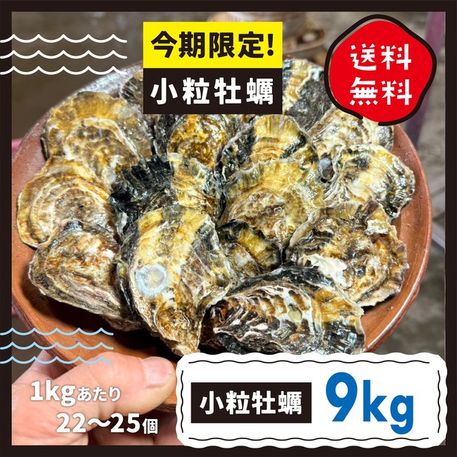 送料込！【今期限定 小粒牡蠣】殻付き牡蠣9kg生食用