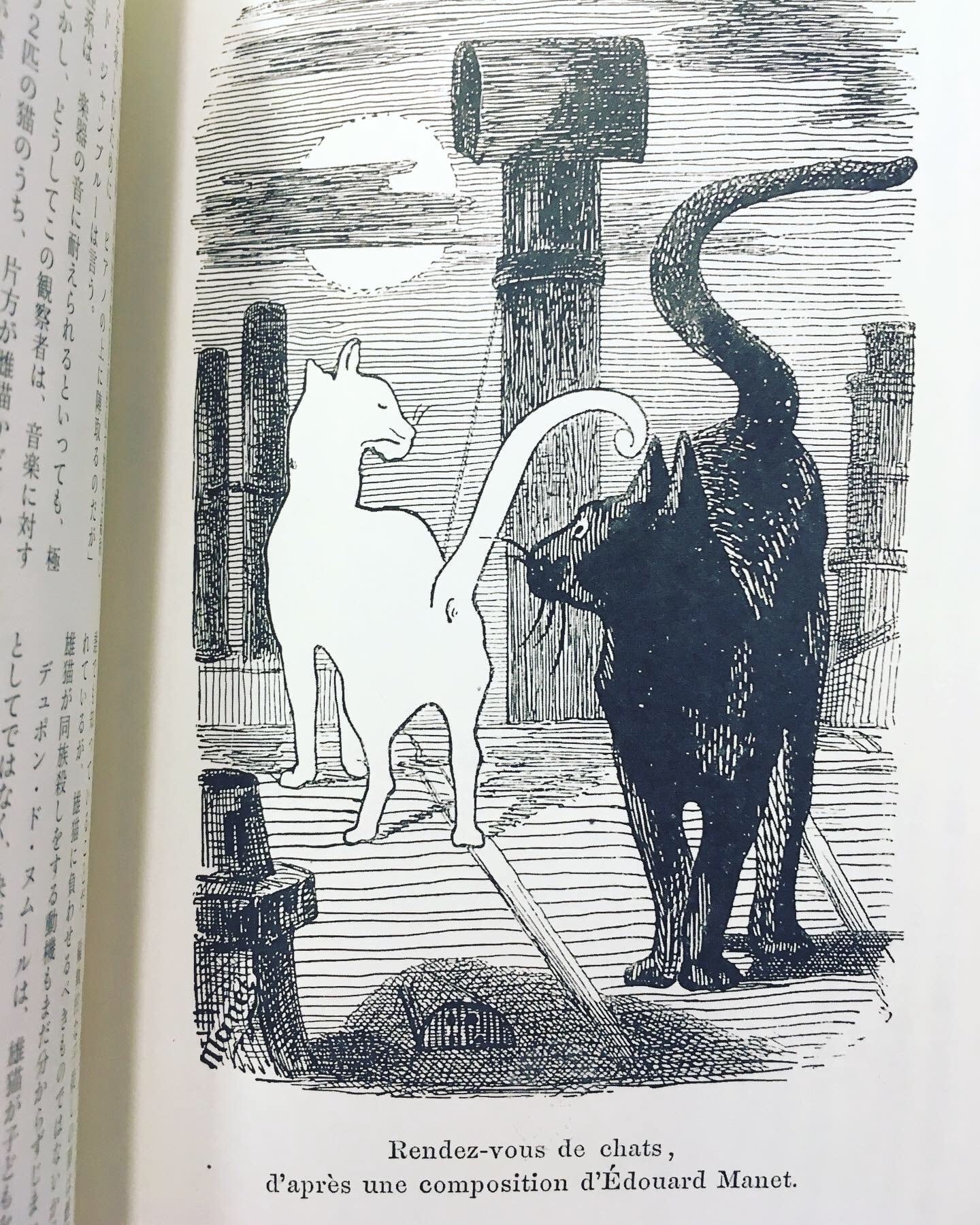 山*猫様 ともだち　　　と思われるブロンズ ab3678bd3dc5698f01012587d29d30