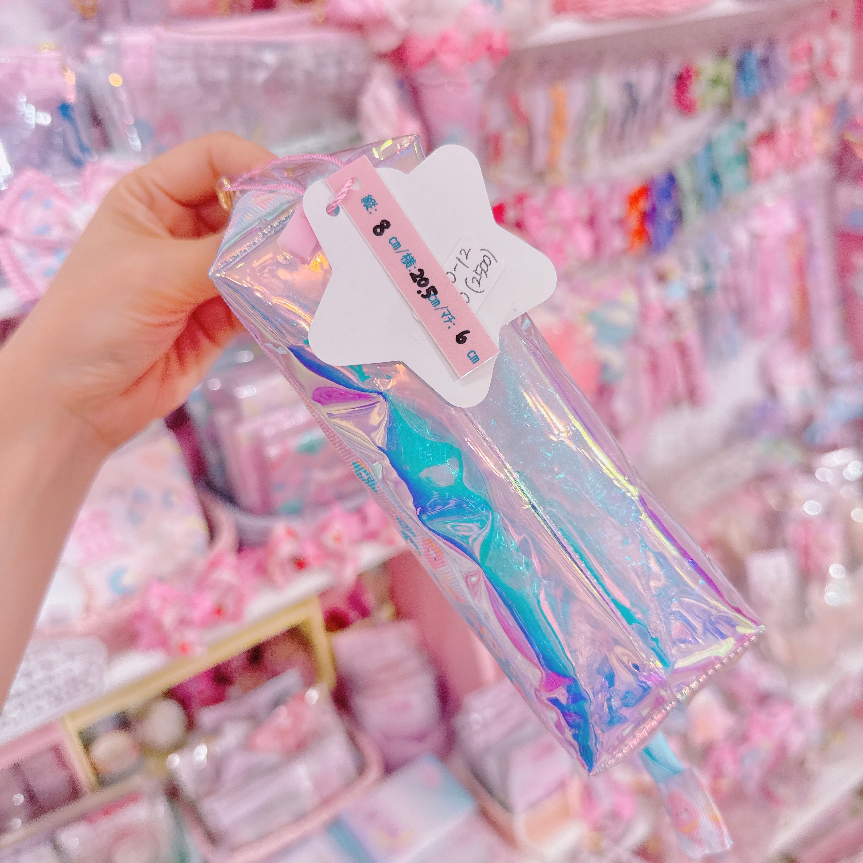 【K6】80-12シャカシャカビニールペンケース