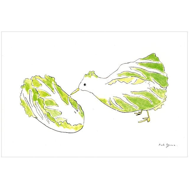 はくさいどり Chinese cabbage bird