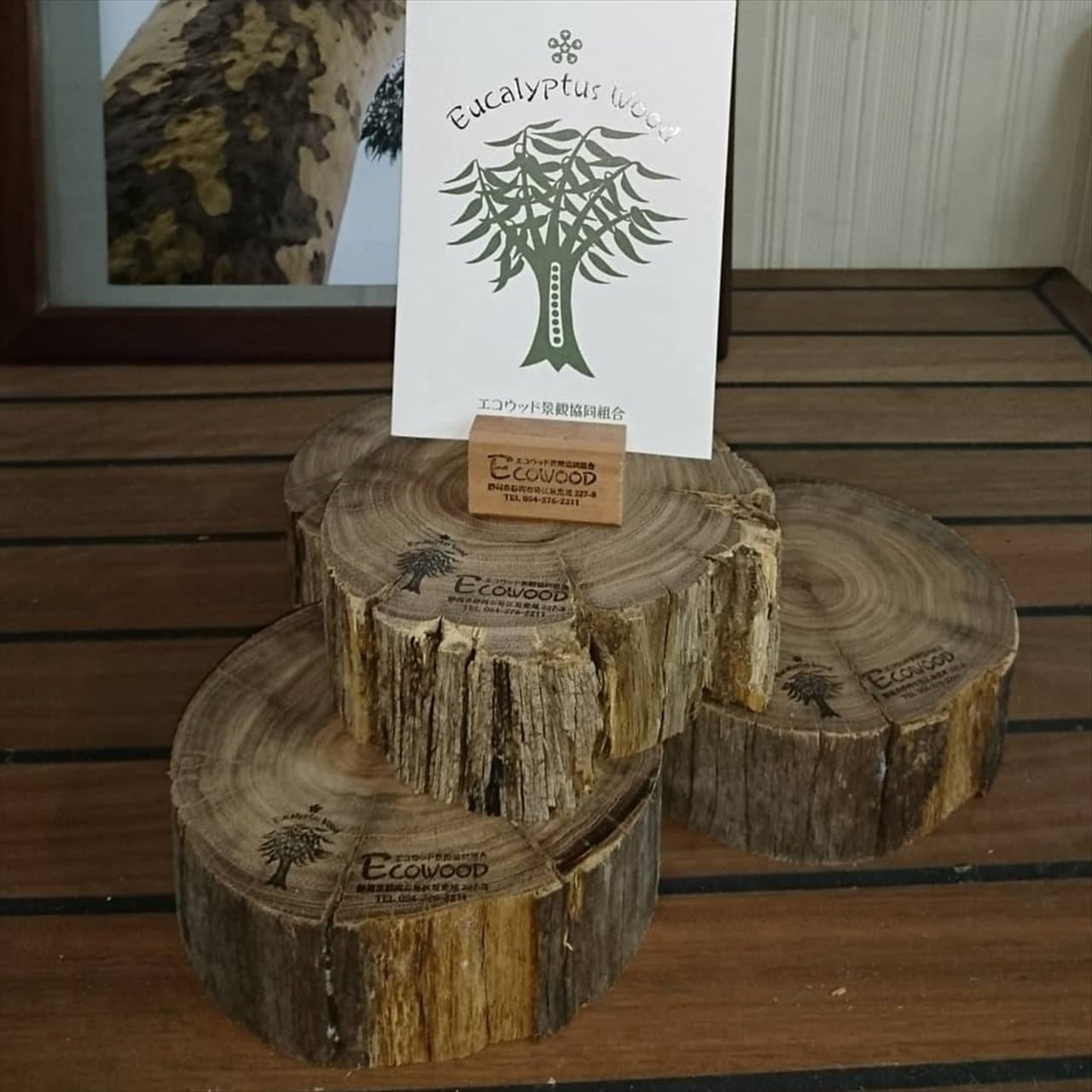 ﾕｰｶﾘか榧☆丸太☆樹木メンソール