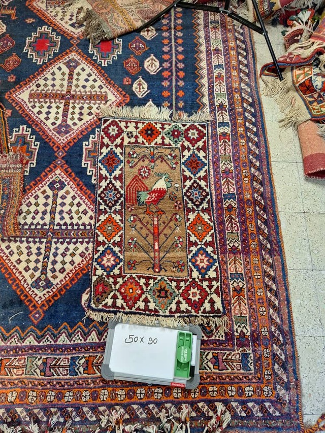 絨毯クエスト 特派員Movie6 M2 ※現在、こちらの商品はイランに置いてあります。ご希望の方は先ずは在庫のご確認をお願いします。
