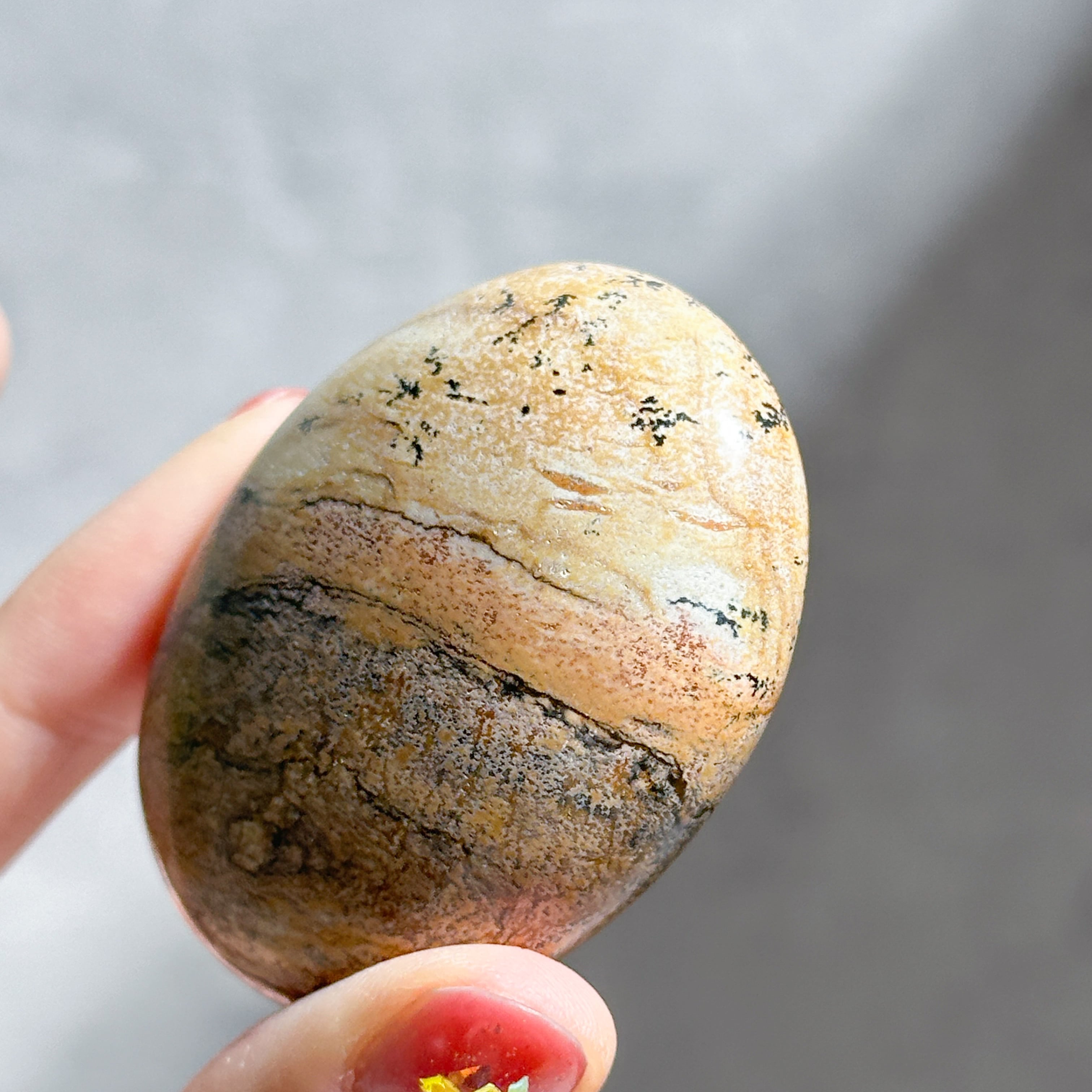 ピクチャージャスパー パームストーン22◇ Picture Jasper ピクチャージャスパー パームストーン22◇ Picture Jasper