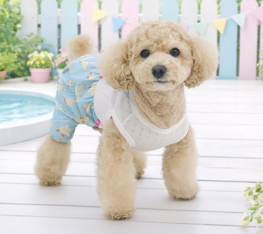 picnic all in one /  犬の服 春夏 新作 オールインワン 涼しい ロンパース ペット洋服 可愛い ドッグウェア 犬服 シンプル 伸縮性 お出かけ 袖なし 韓国 ワンコ服