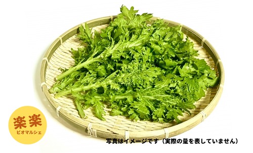 わさび菜