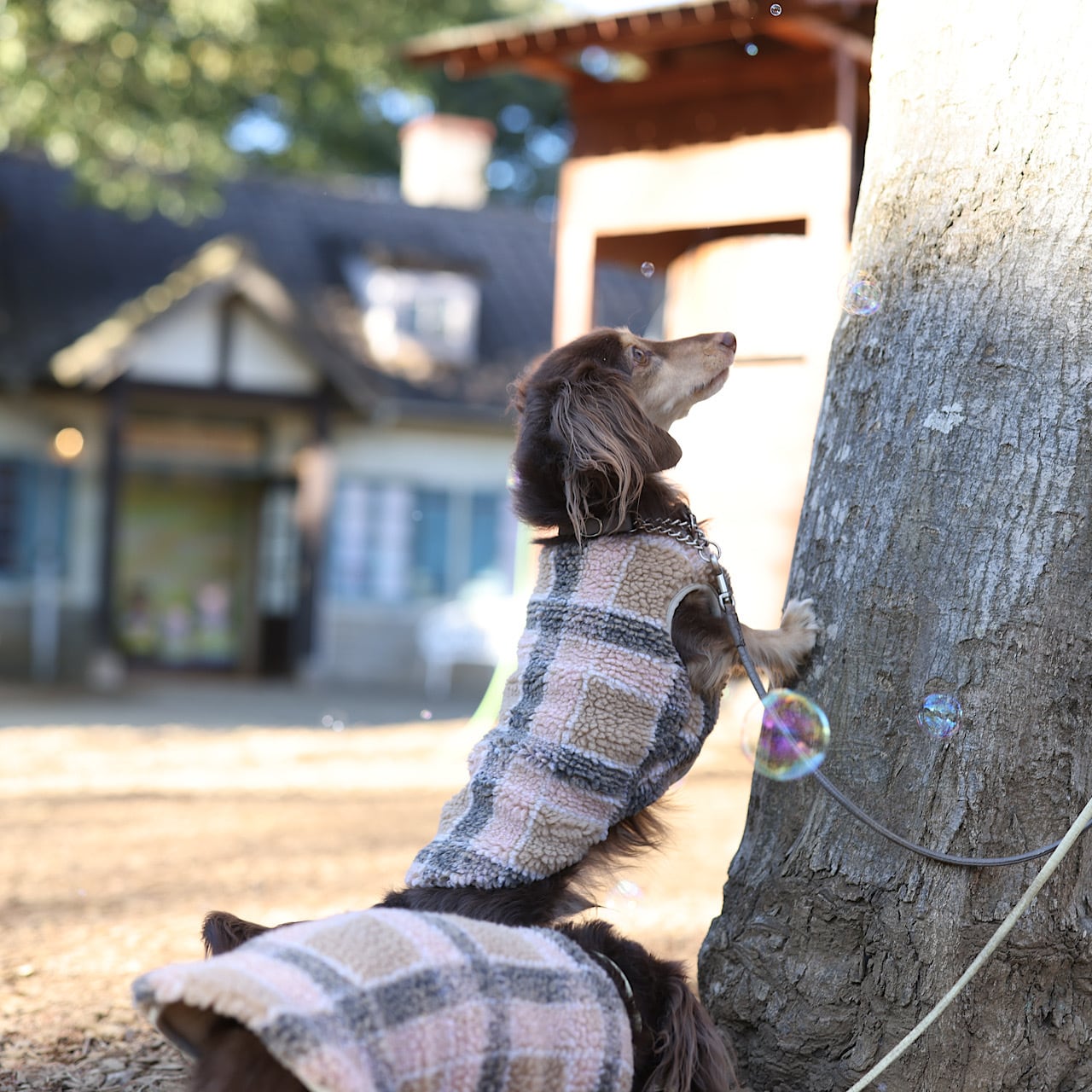 犬服 ベアウォーム ボアベスト KMサイズ ラムピノクチュール ベアウォーム ボアベスト | カニンヘンダックスとミニチュア