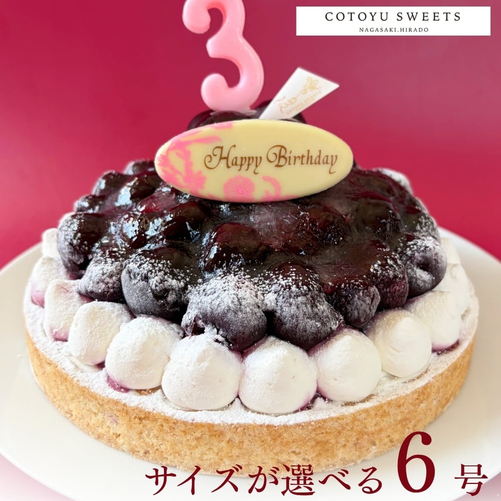 【誕生日ケーキ HAPPY BIRTHDAY付き】贅沢ダークチェリータルト18㎝ (8名〜10名様用)【保存料 着色料 無添加 スイーツ お取り寄せ 母の日 送料無料】