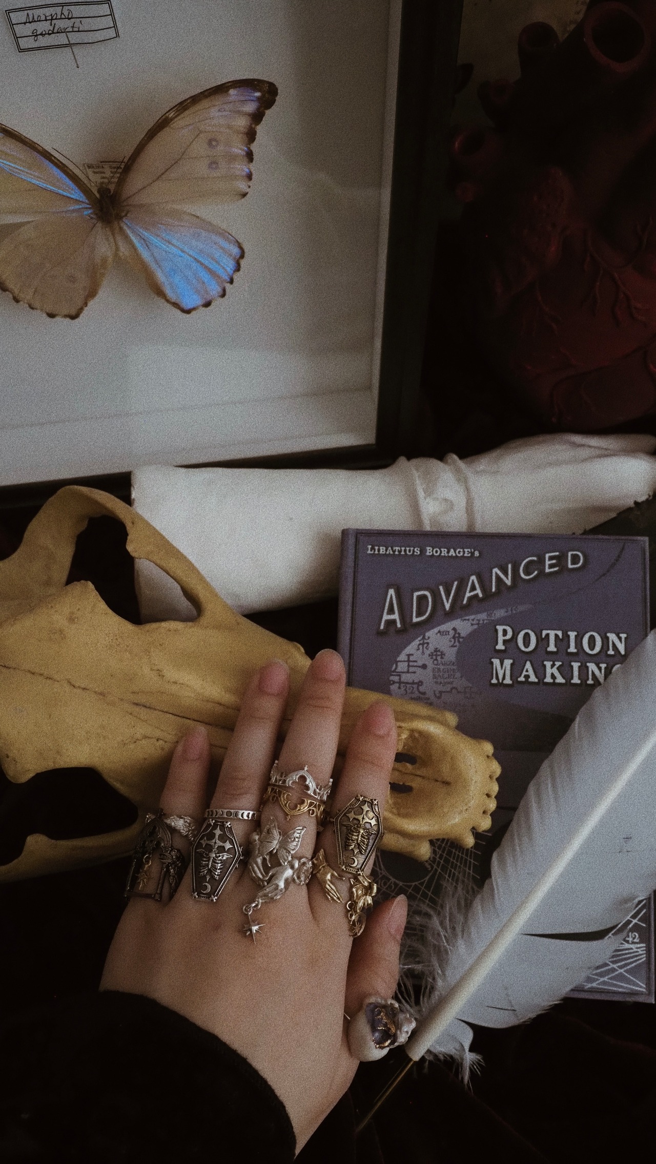 解剖医の告解リング　シルバー【星屑即納品】