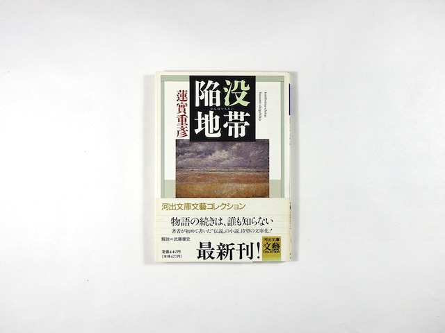 陥没地帯(蓮實重彦 著)