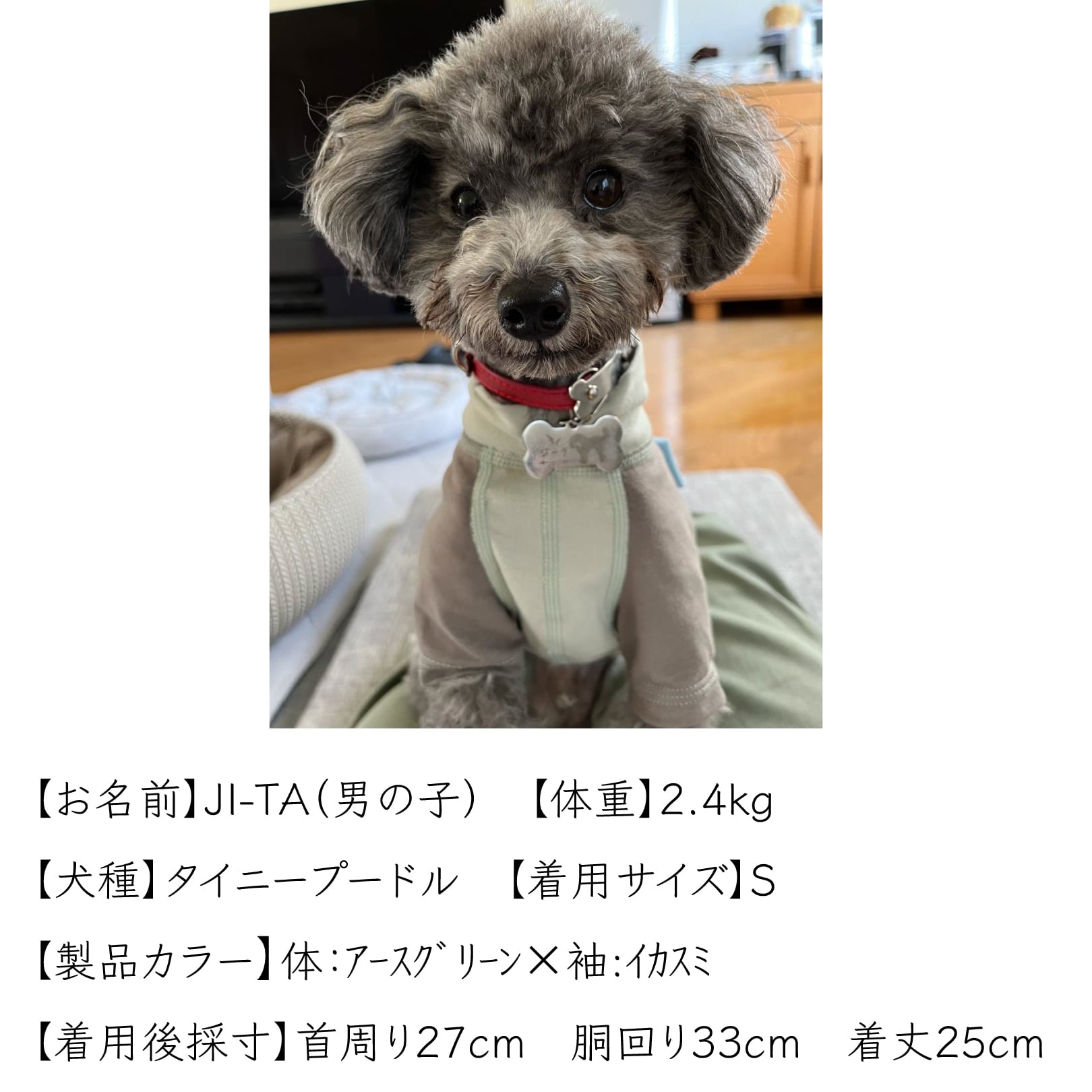 スキンフィット｜トイプードル用｜8size|オーガニックコットン＆抗菌消