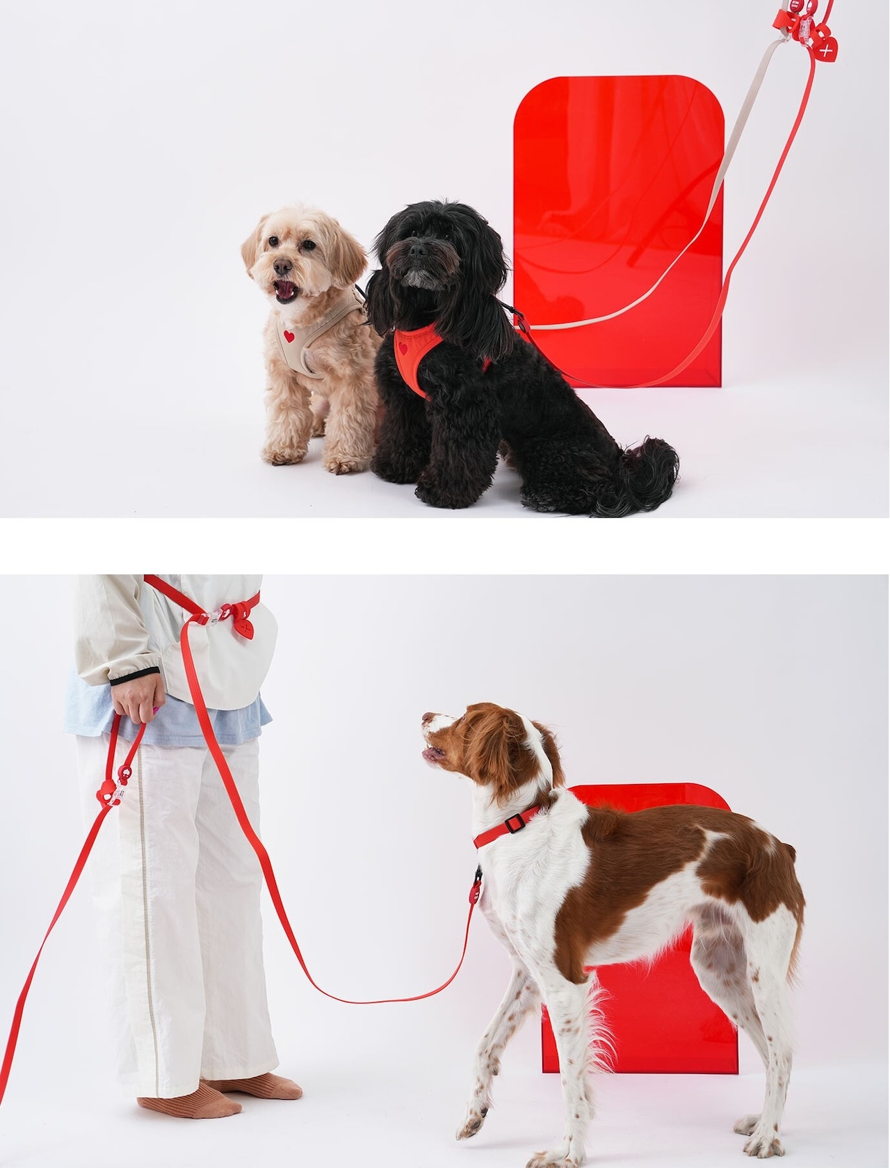 【PUPPYGALLERY公式】オールウェザー防水ハートリード　MM