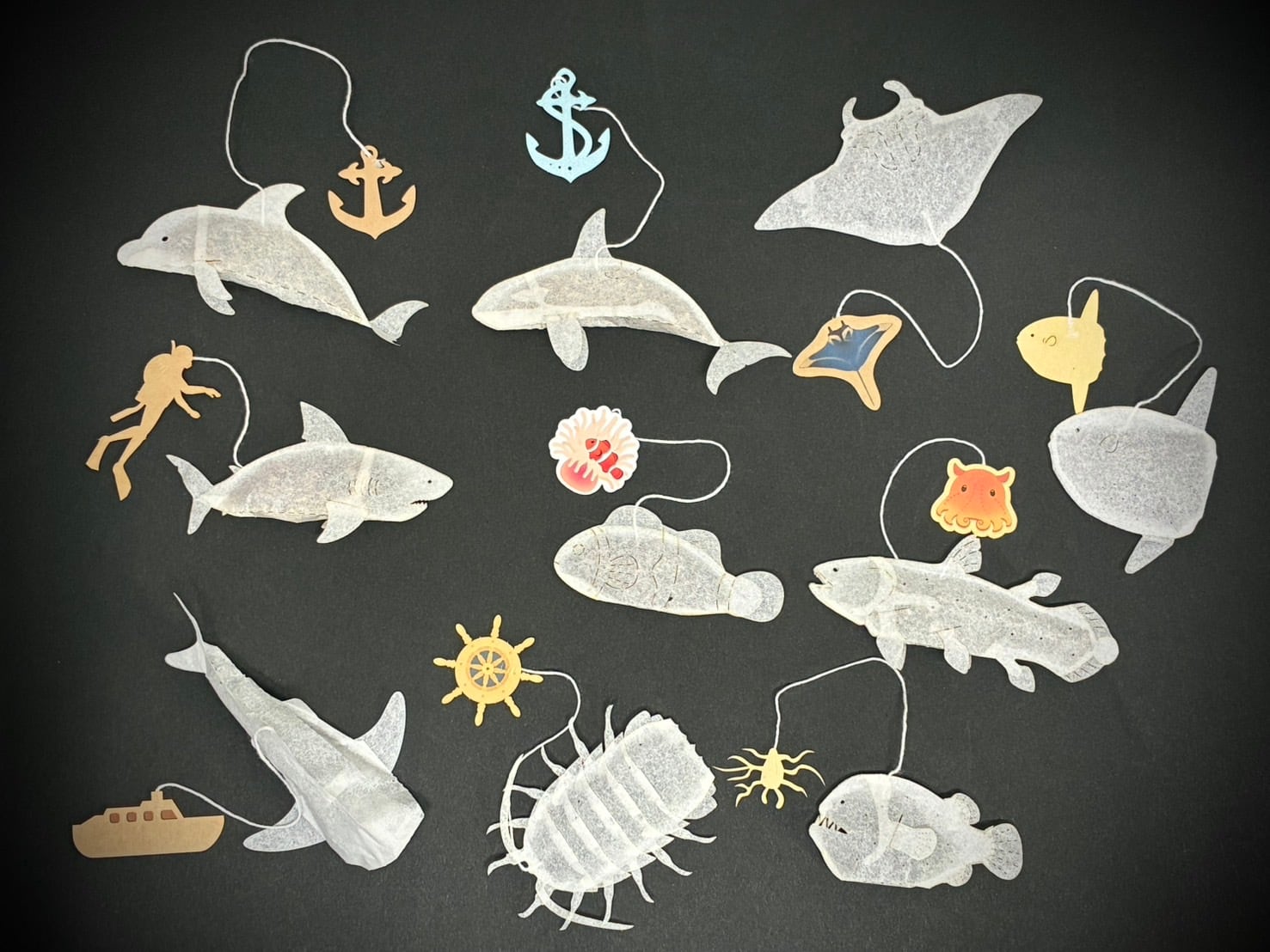 ocean-teabag 海の10種類セット | オーシャンティーバッグ ocean-teabag