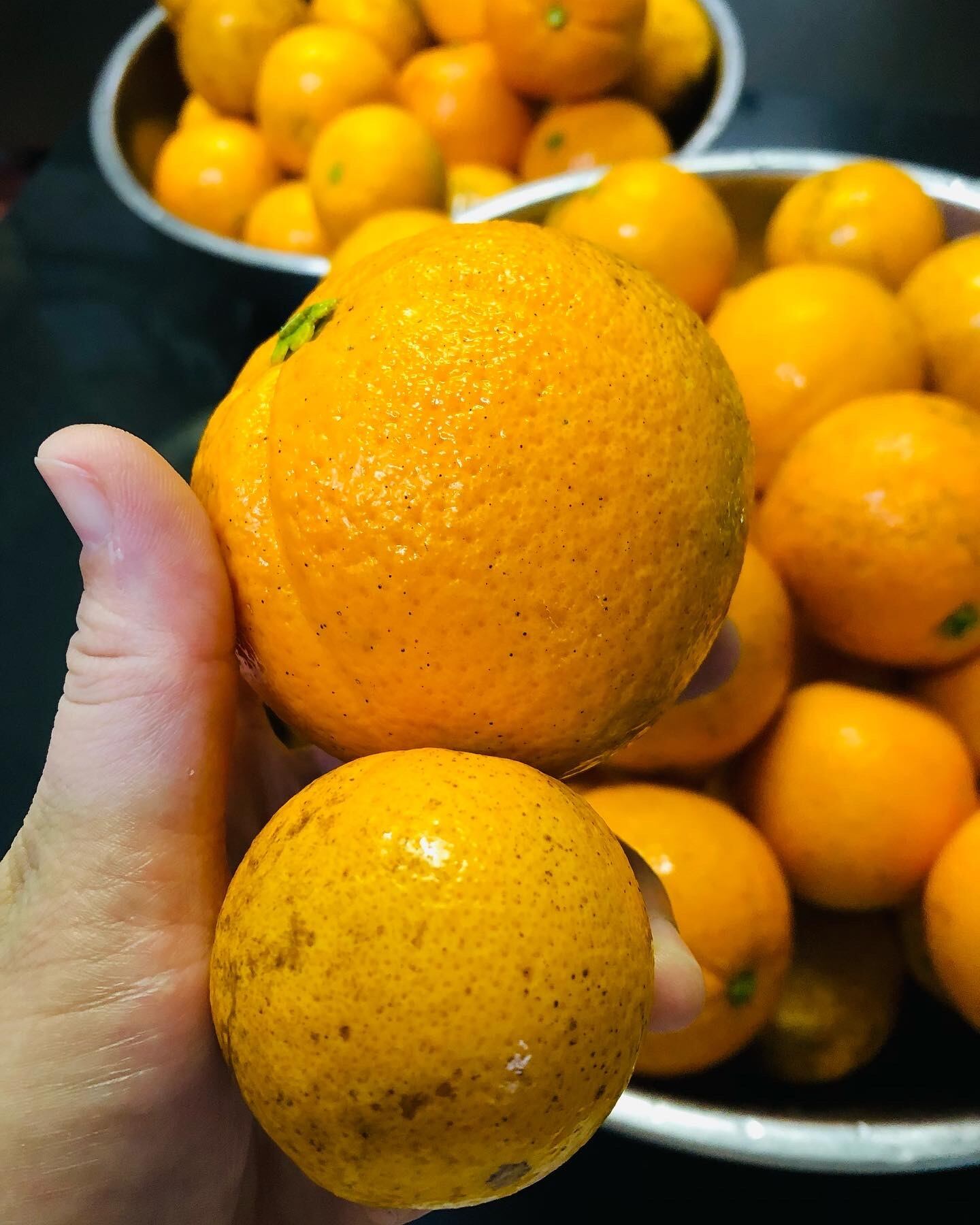 無農薬ネーブルのオランジェット