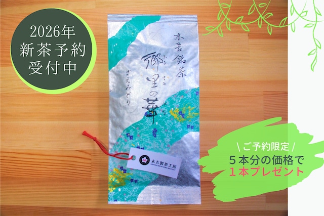 【予約販売限定】2026年新茶｜お得な大入セット｜ 郷里の華　さえみどり　−冠せ茶−（100g × ５本 + １本）