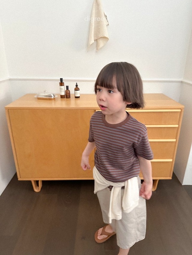 digreen26su_Camel Stripe Tee
