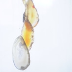 Mira - アゲートヒーリングチャイム / Agate Sun Catcher Wind Chime 1070