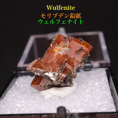 モリブデン鉛鉱 ウェルフェナイト ケース入り 3,8g WF127 天然石 鉱物 原石