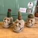 Skull pot x サボテン植え