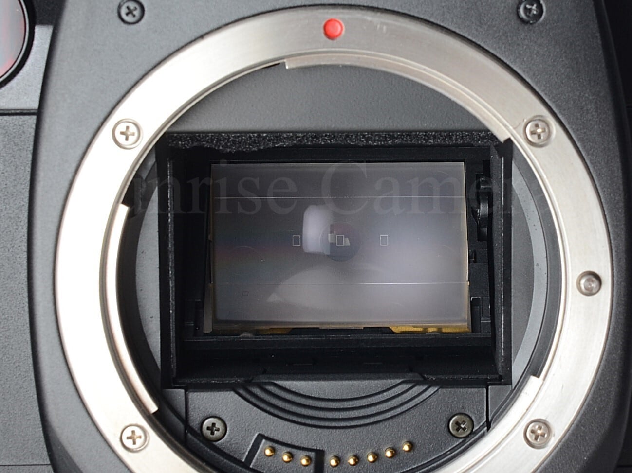 Canon EOS 55 ボディ BP-50付 キヤノン (61272) | サンライズカメラ