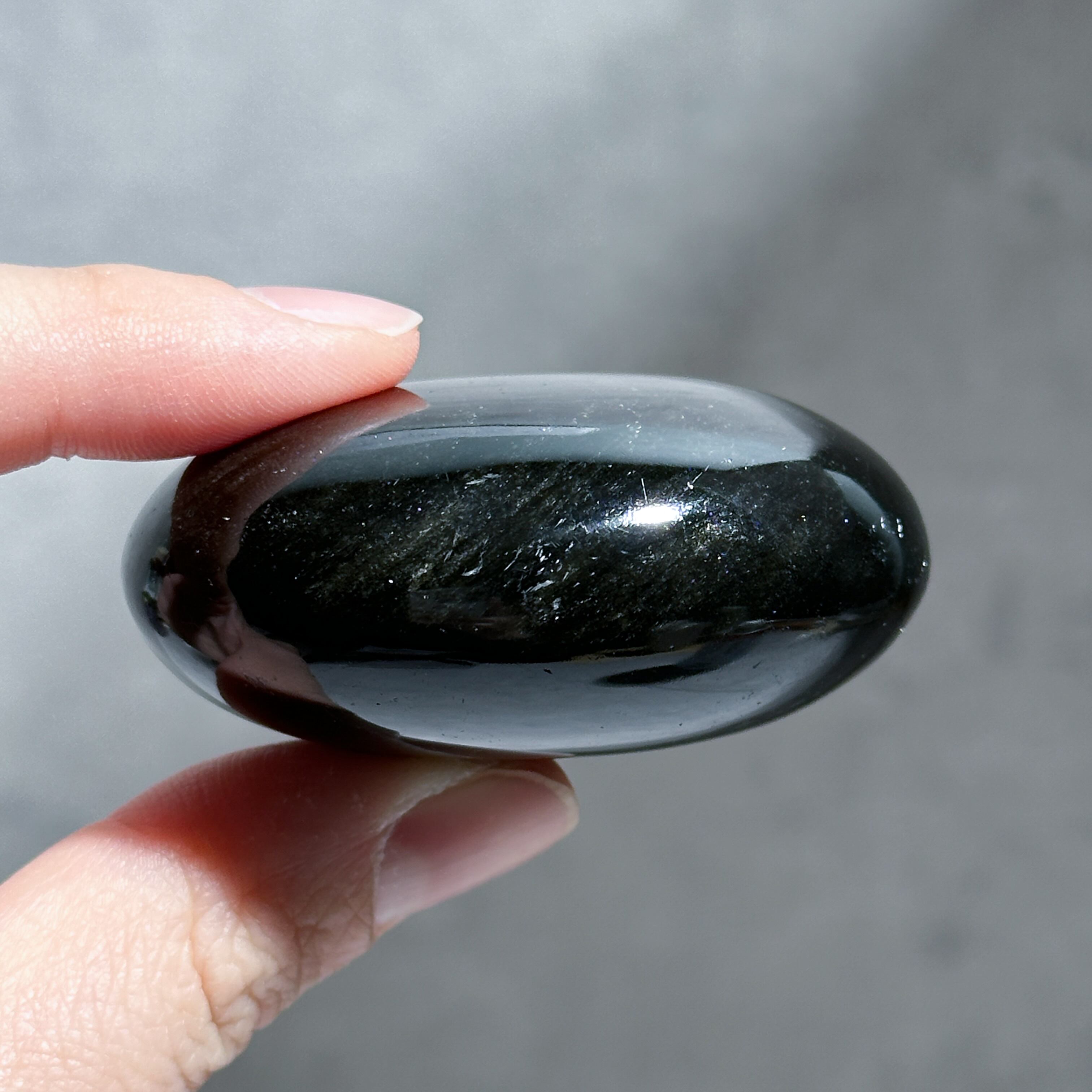 ゴールデンシーンオブシディアン パーム13◇Goldensheen obsidian