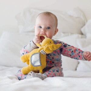 Lion Activity Toy with Natural Rubber Teether_97002