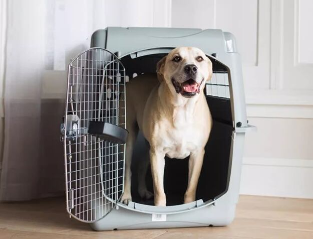 犬 キャリーケース おしゃれ 自転車 カゴ 前 犬用 キャリー チワワ