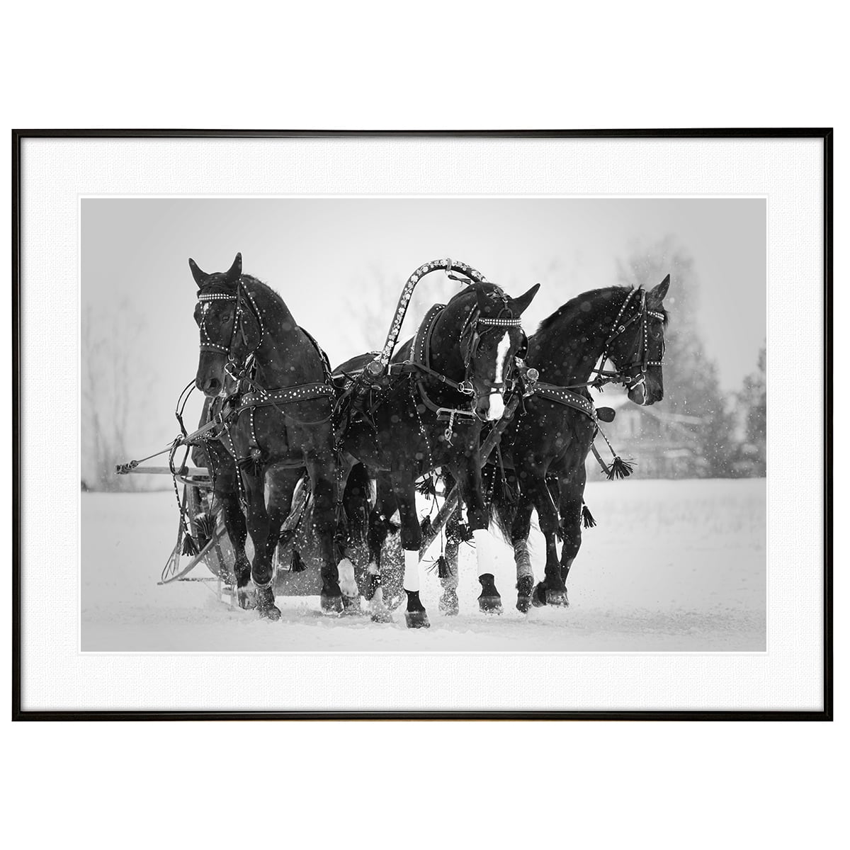 動物写真 馬 ロシアのトロイカ インテリア モノクロアートポスター額装