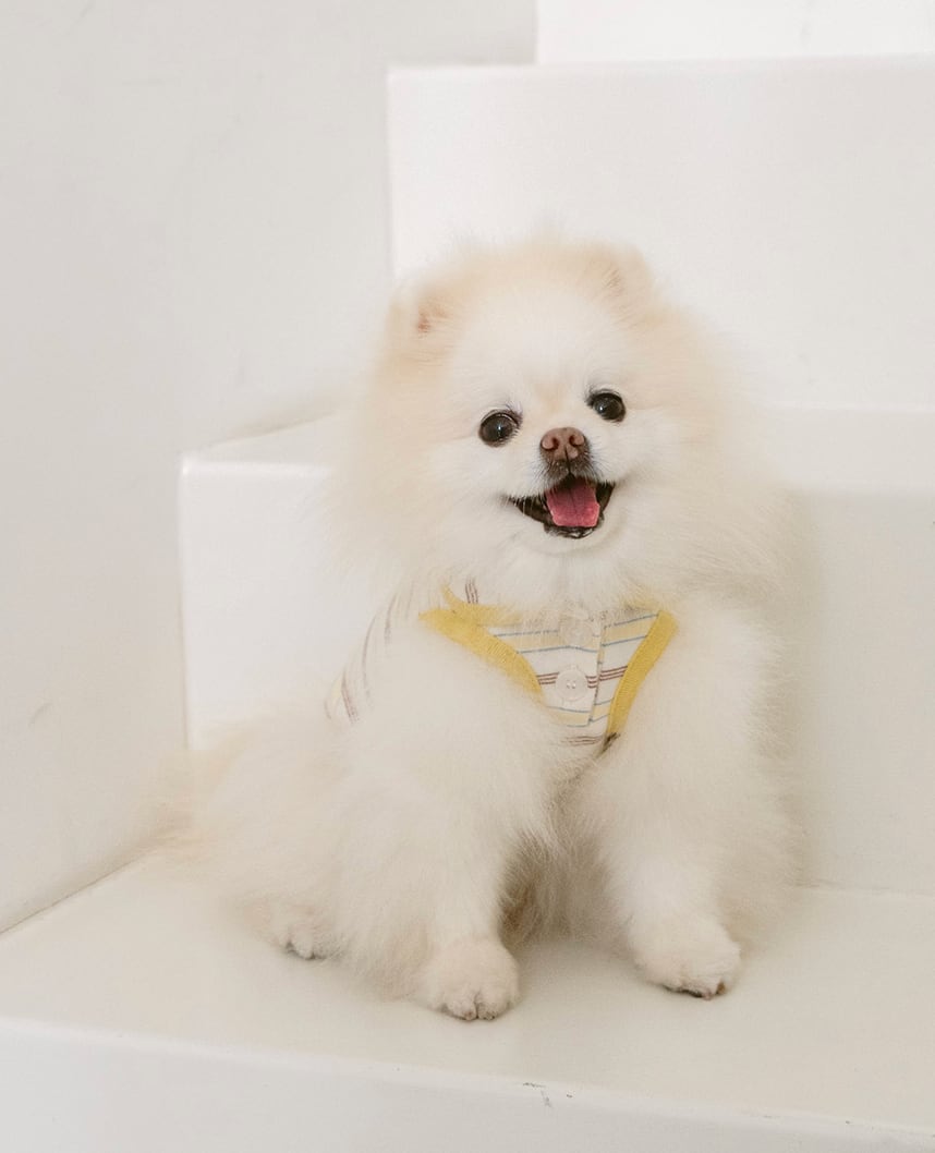 予約【noutti】Jerry Sleeveless Top – yellow