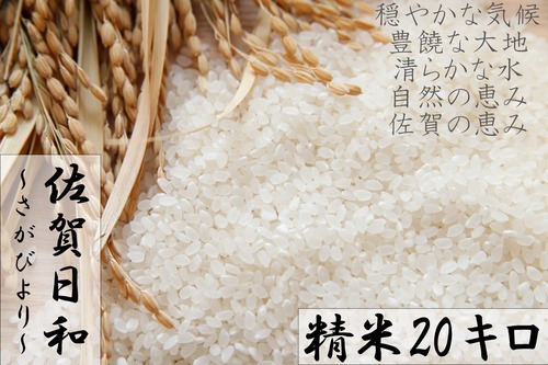 【R3収穫米】佐賀県産『さがびより（精米20kg）』