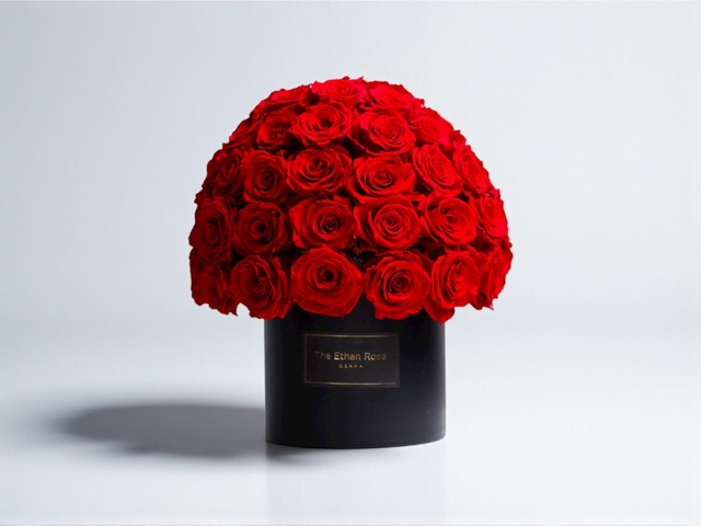 マッシュローズ（赤）