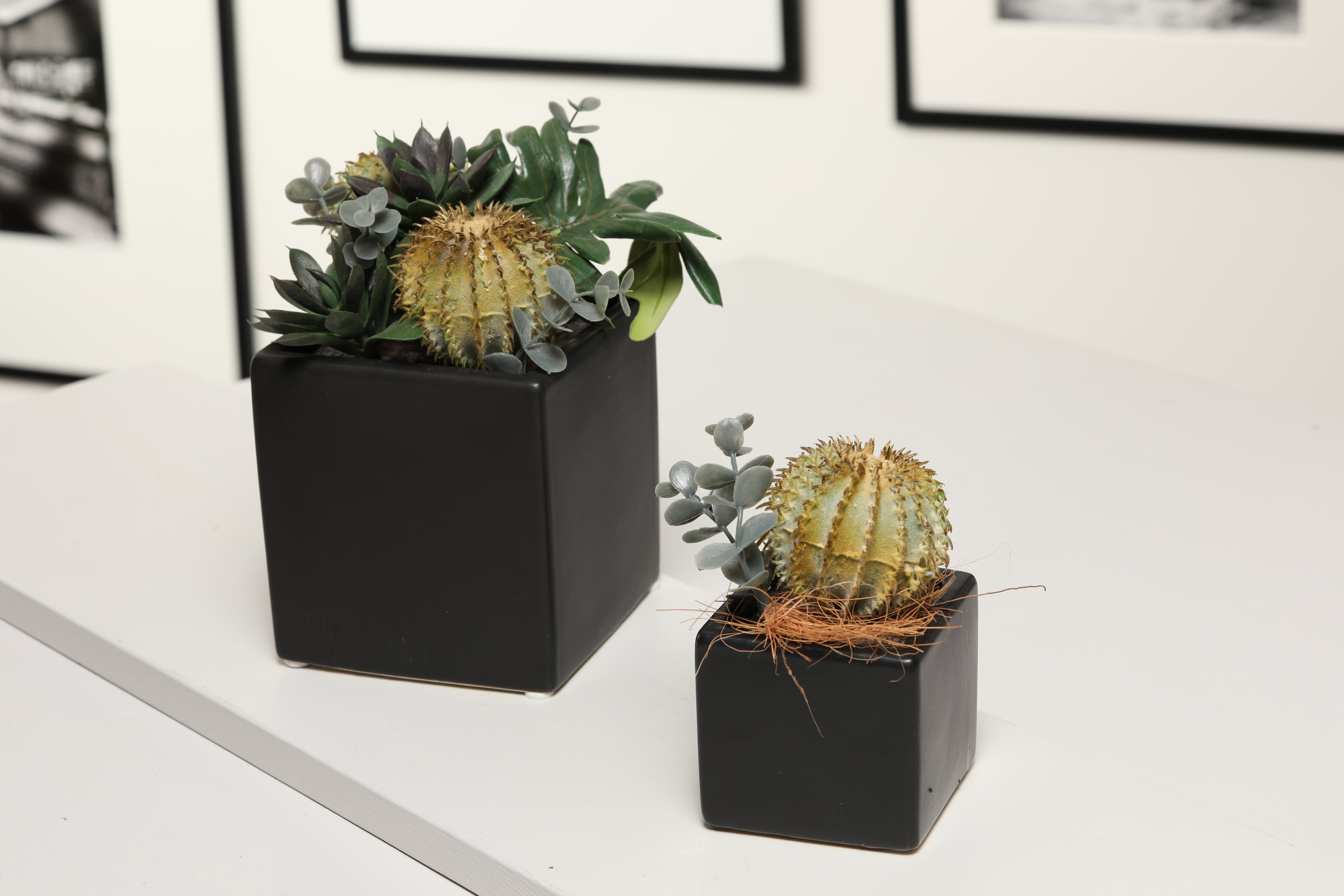 サボテン 人工観葉植物 3点セット 多肉植物寄せ植え大小セット【光触媒