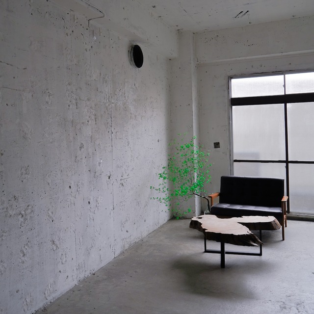 屋久杉のローテーブル