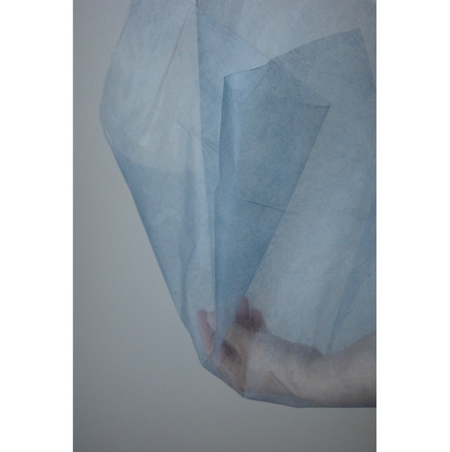 2026 お正月飾り 【空蝉うつせみ】