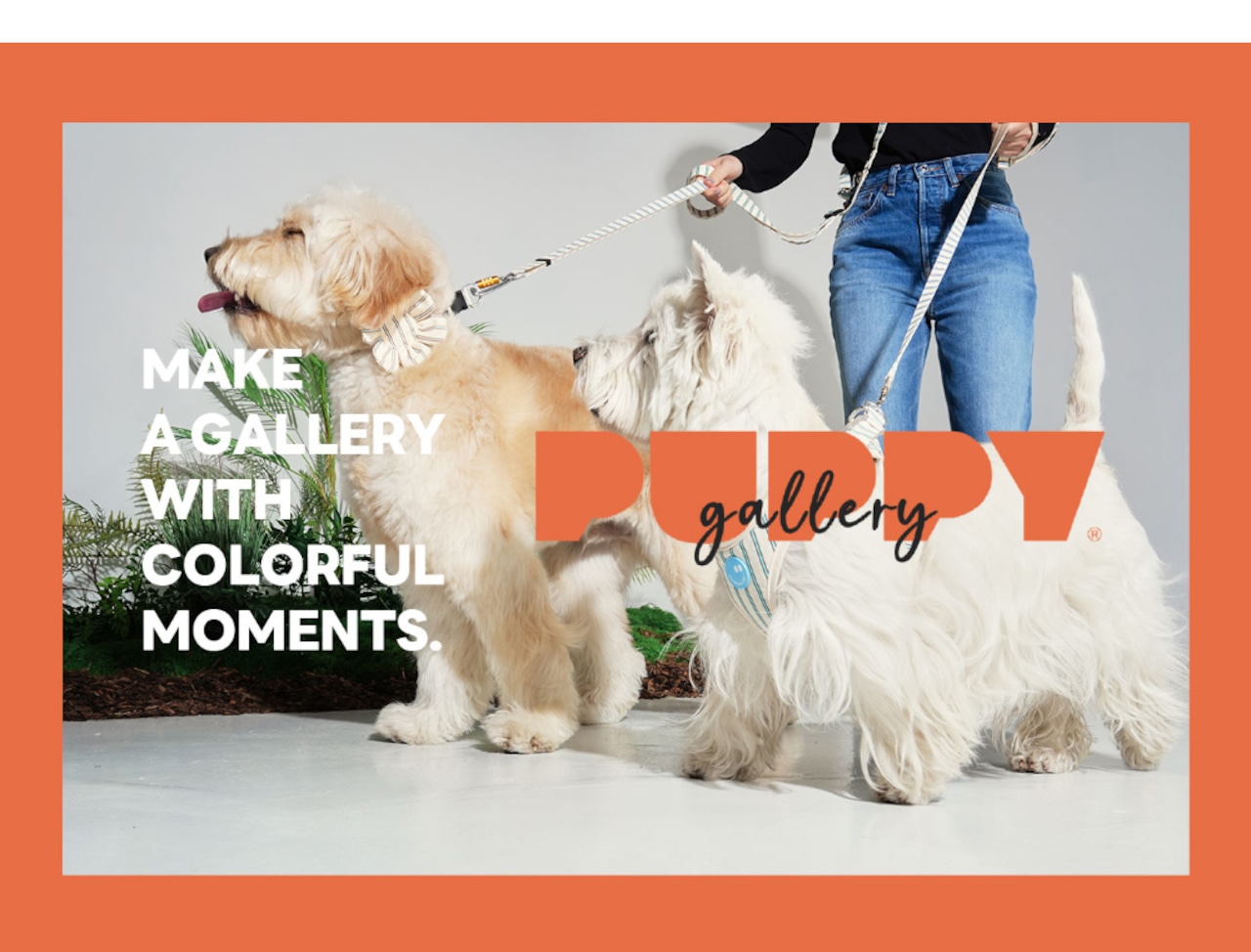 【PUPPYGALLERY公式】ストライプデイジー首輪　L