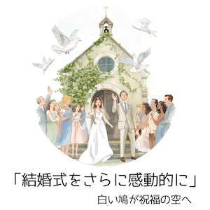白い鳩 放鳥サービス 【結婚式・各種イベント】1セット(10羽)