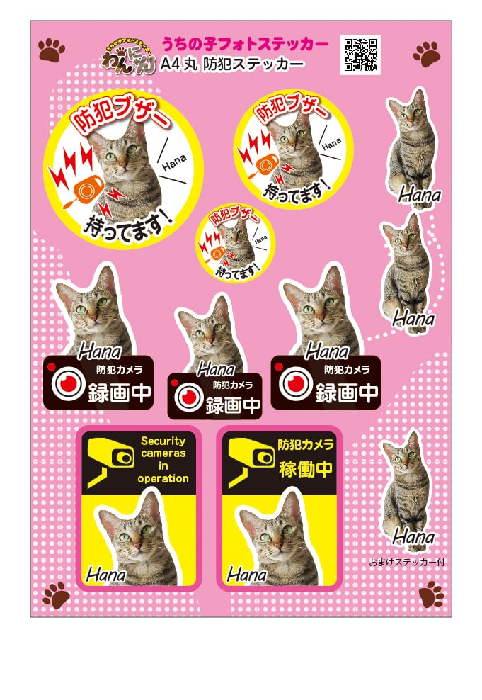 BBENEXDO プネクド サマニ カメラ ステッカー 新品未開封 BOYNEXTDOOR