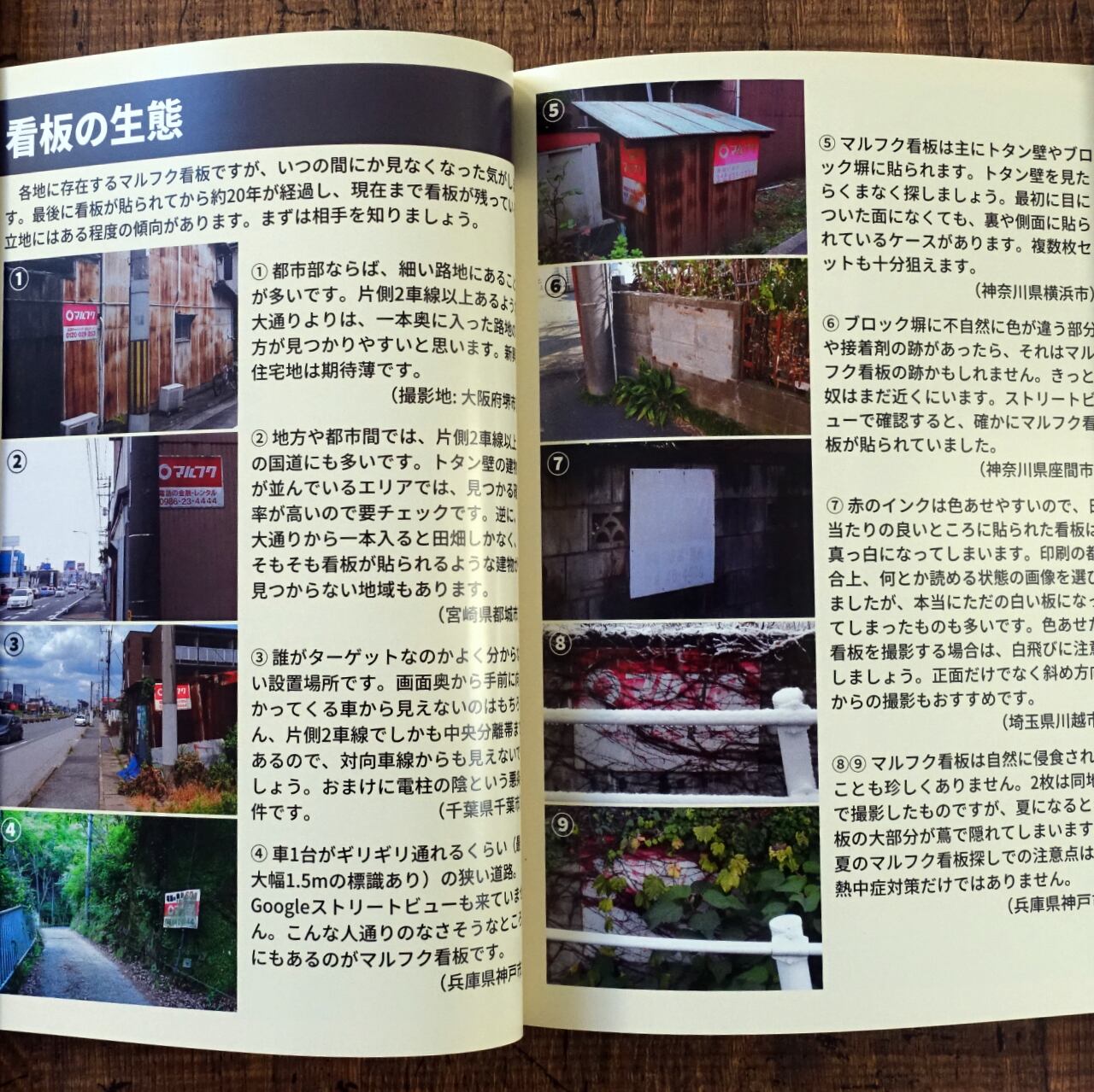 紅白看板マルわかり図鑑 hira | タイムカプセル