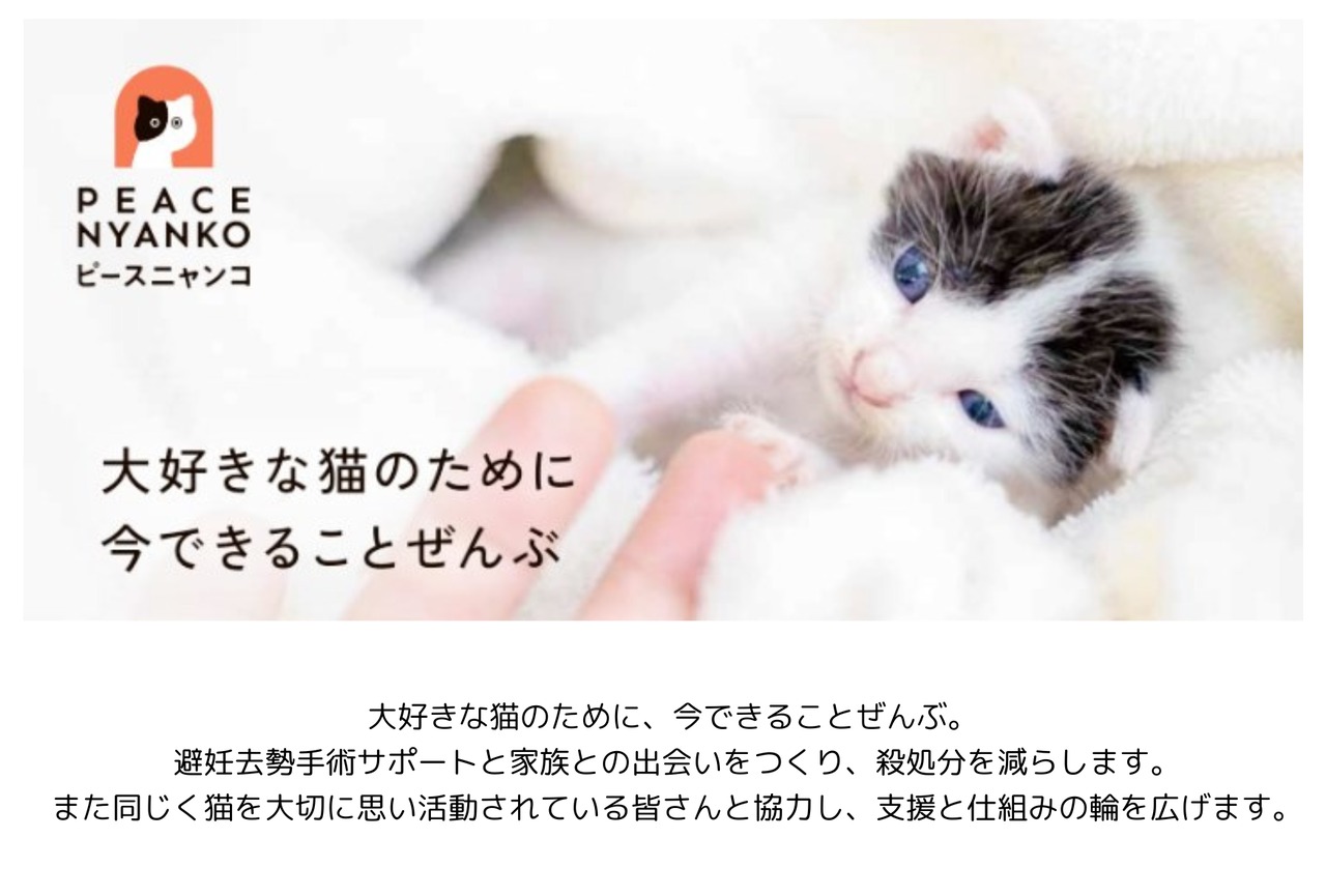 【DOG CAT HUMAN】デカフェ｜ドリップバック｜大袋 個包装10ケ入（カフェインレス・0.27%以下）