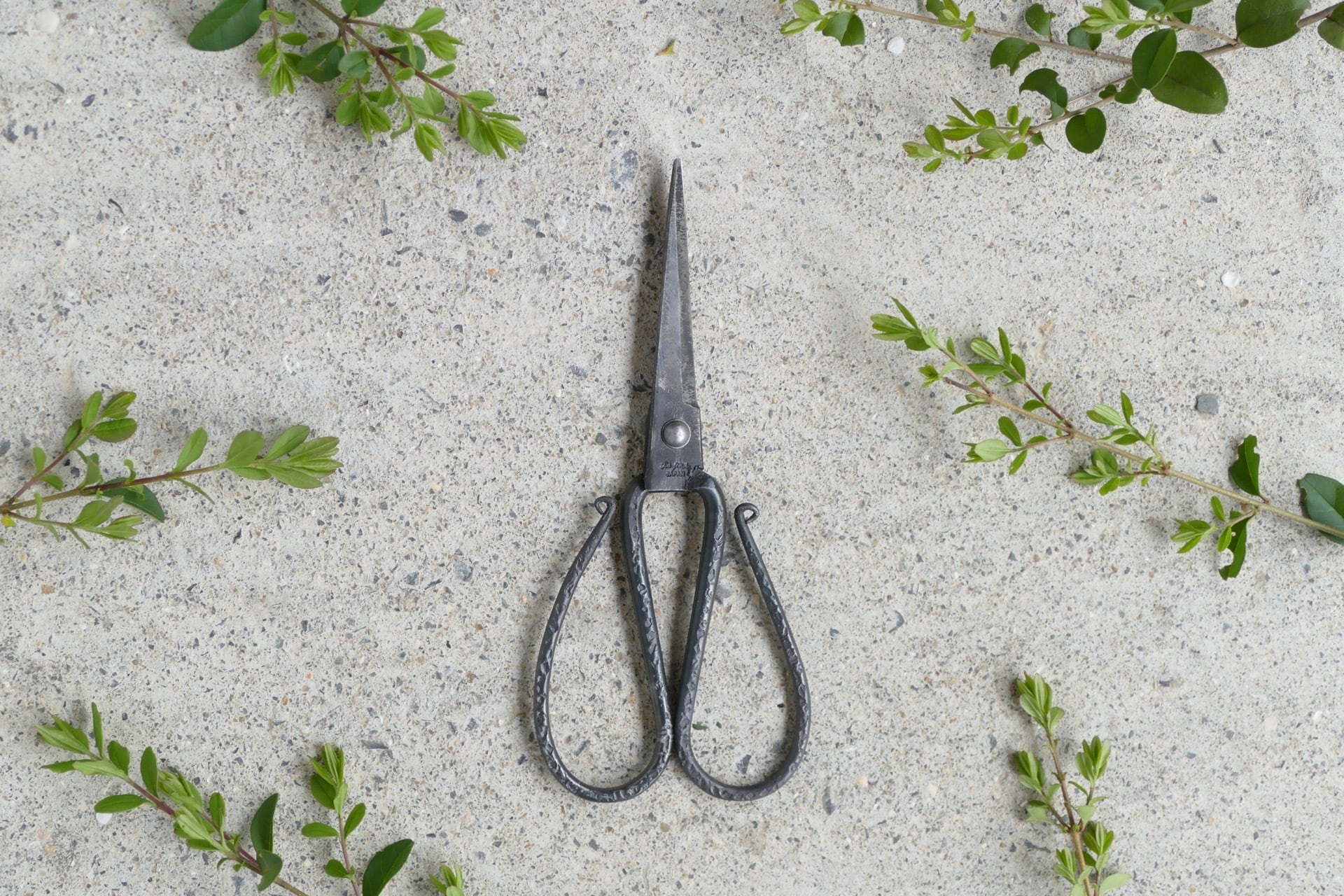 TAjiKA iron HOUSEHOLD SHEARS | nishinohara online store nakaniwa